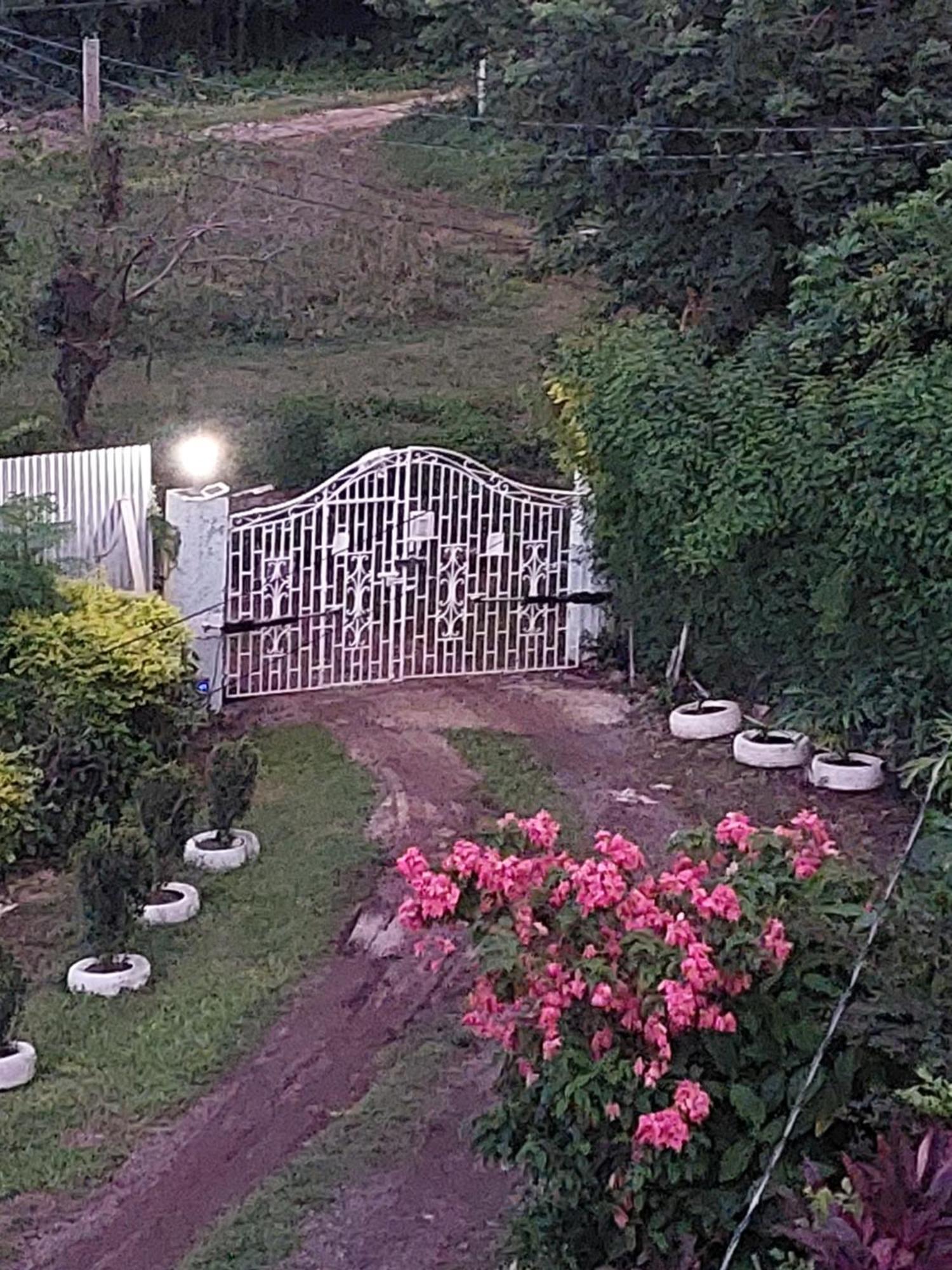 Alex'S Place - Tim Pappies Port Antonio Dış mekan fotoğraf