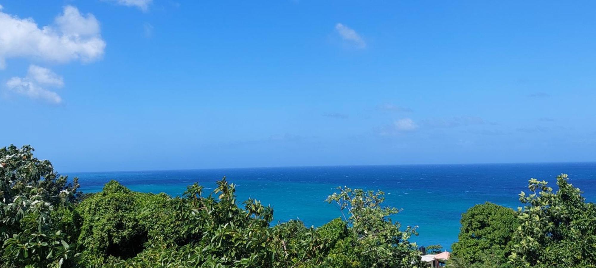 Alex'S Place - Tim Pappies Port Antonio Dış mekan fotoğraf