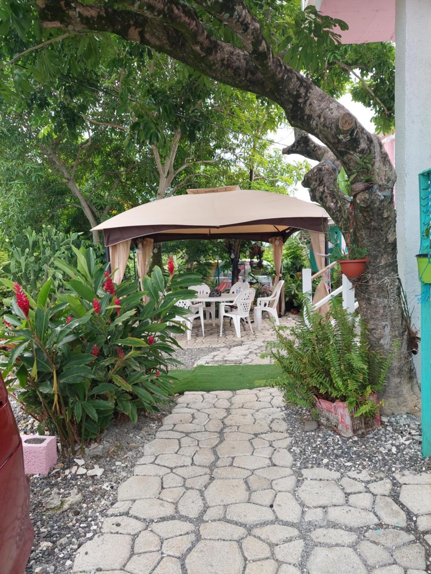 Alex'S Place - Tim Pappies Port Antonio Dış mekan fotoğraf